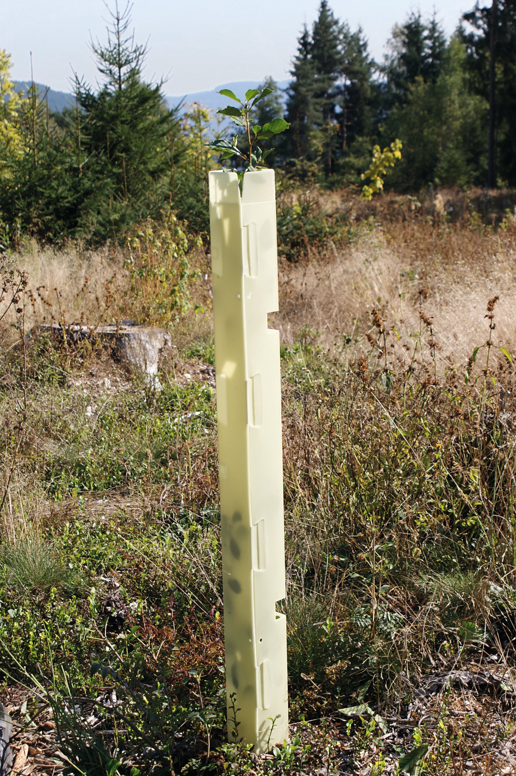 B_73-033_j18
